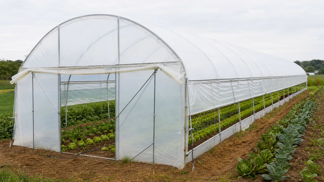 Plusieurs tunnels agricoles de largeurs differentes alignes sur une parcelle