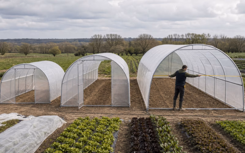 Comparaison de largeurs standard de tunnels agricoles sur une exploitation maraichere