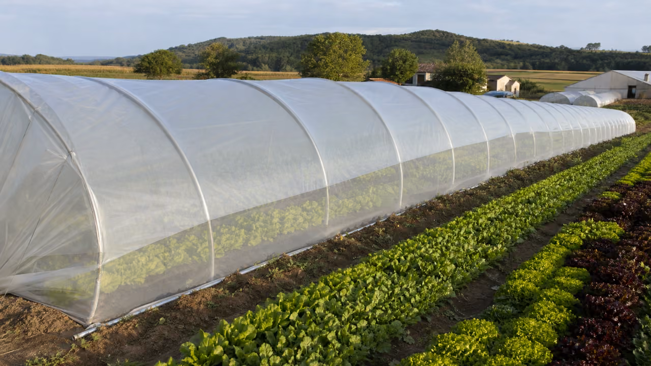 Detail de profil de fixation avec ressort zigzag maintenant une bache de tunnel agricole tendue