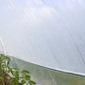 Détail d’une bâche pour serre agricole anti-goutte 200 microns avec condensation maîtrisée