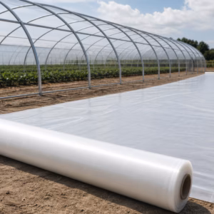 Bâche tunnel agricole sur mesure déroulée au sol près d’une structure de serre