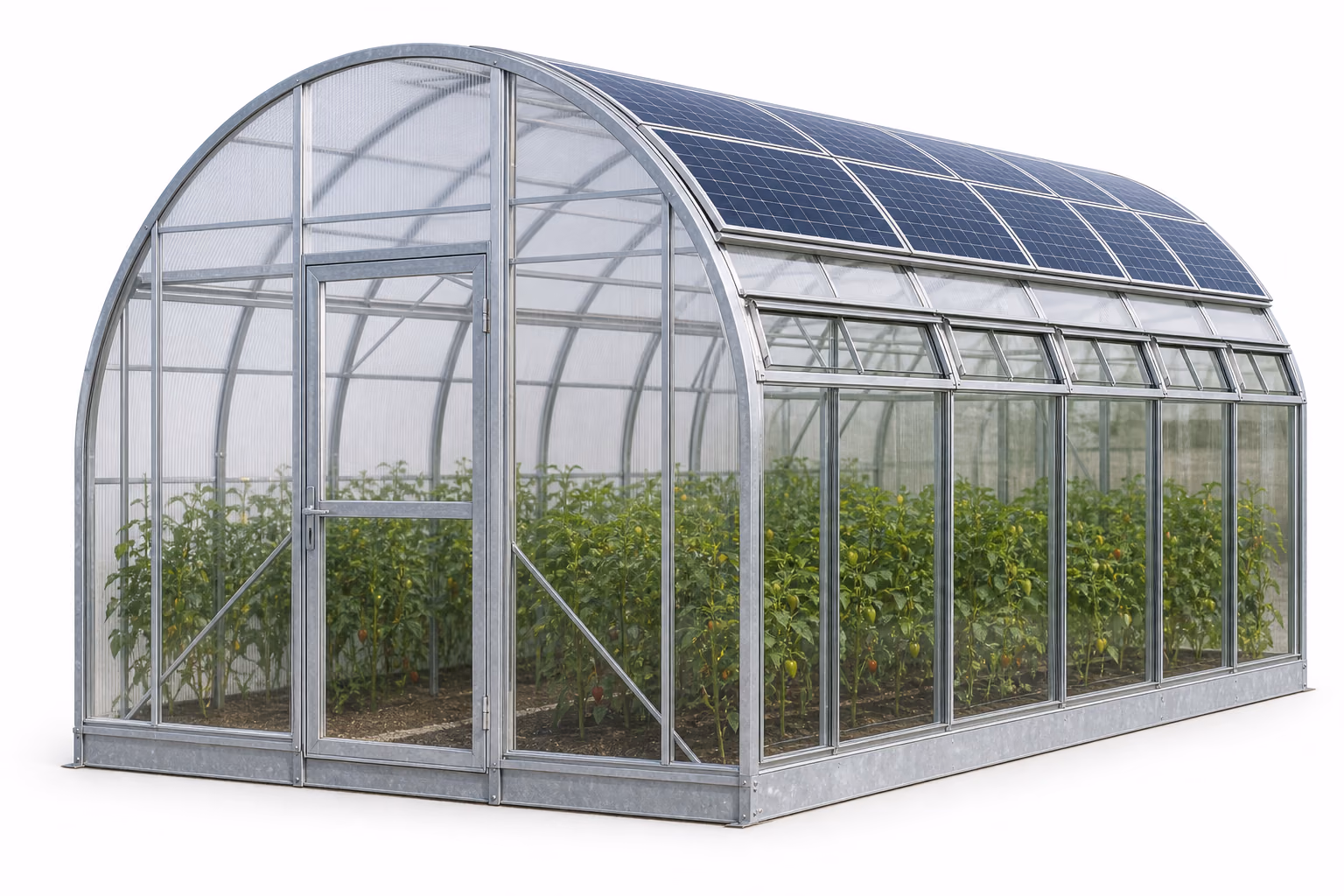 Serre photovoltaïque agricole avec panneaux solaires sur fond blanc